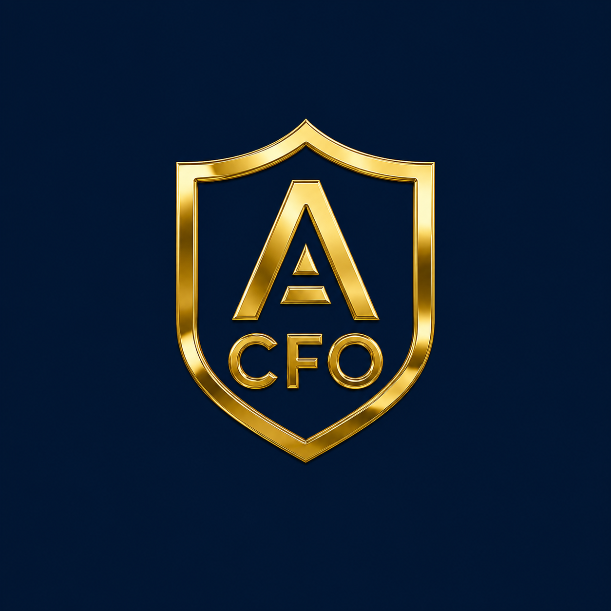 Andrei CFO Partners